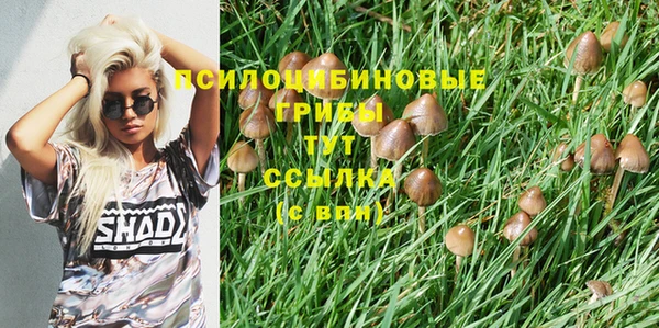 таблы Алексеевка