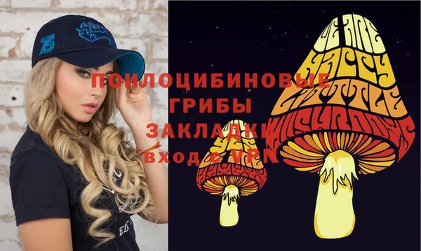 стаф Абаза