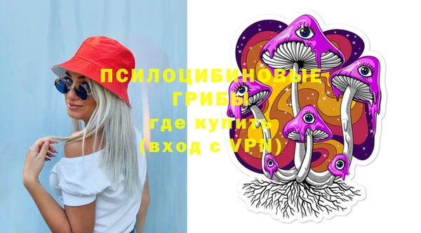 стаф Абаза