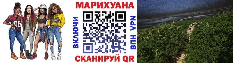 где купить наркоту Саранск МАРИХУАНА SATIVA & INDICA